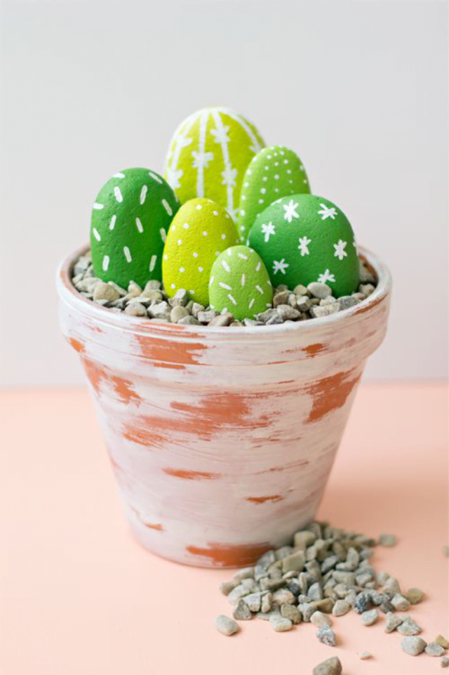 cactus na decoração 32