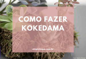 Leia mais sobre o artigo Kokedama: passo a passo para você aprender